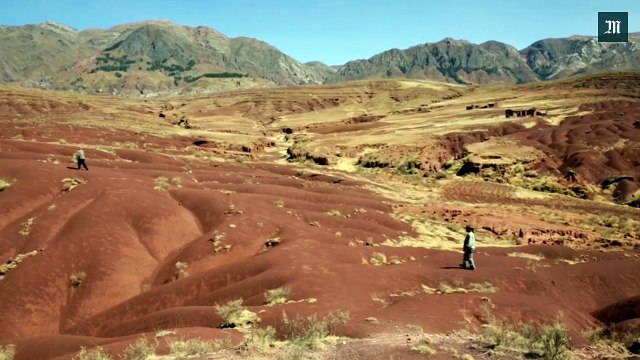 Une empreinte de dinosaure de taille exceptionnelle découverte en Bolivie