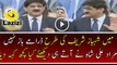 See How New CM Sindh Murad Ali Shah Badly Insulting Shahbaz Sharif