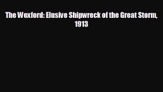 EBOOK ONLINE The Wexford: Elusive Shipwreck of the Great Storm 1913  BOOK ONLINE