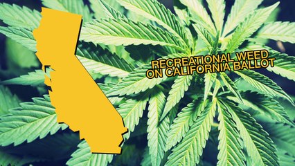 Recreational Weed Officially On California's Ballot