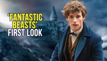 First Look at Fantastic Beasts And Where To Find Them