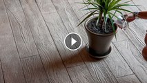 [Vu à la TV] CEMEX France​ rénove votre maison : Comment faire un sol imitation parquet avec notre béton 