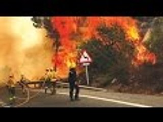 Forests Under Fire Wildfire | Full Documentary HD
