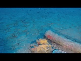 Watch | Is this bronze cannon really from Napoleon’s warship?