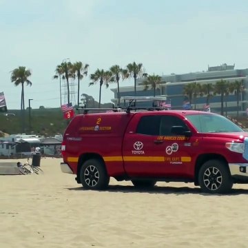 Wally the Whale washed Ashore 7.01.16 | Channel Update below |