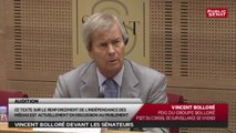 Vincent bolloré devant les sénateurs - Les matins du Sénat (28/07/2016)