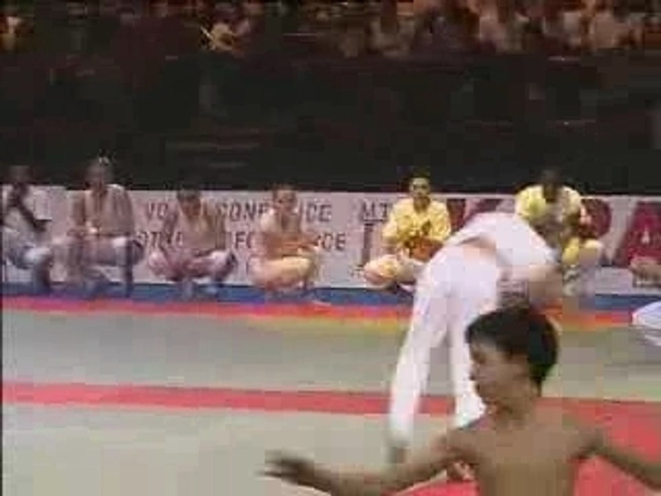 Capoeira demonstation bercy