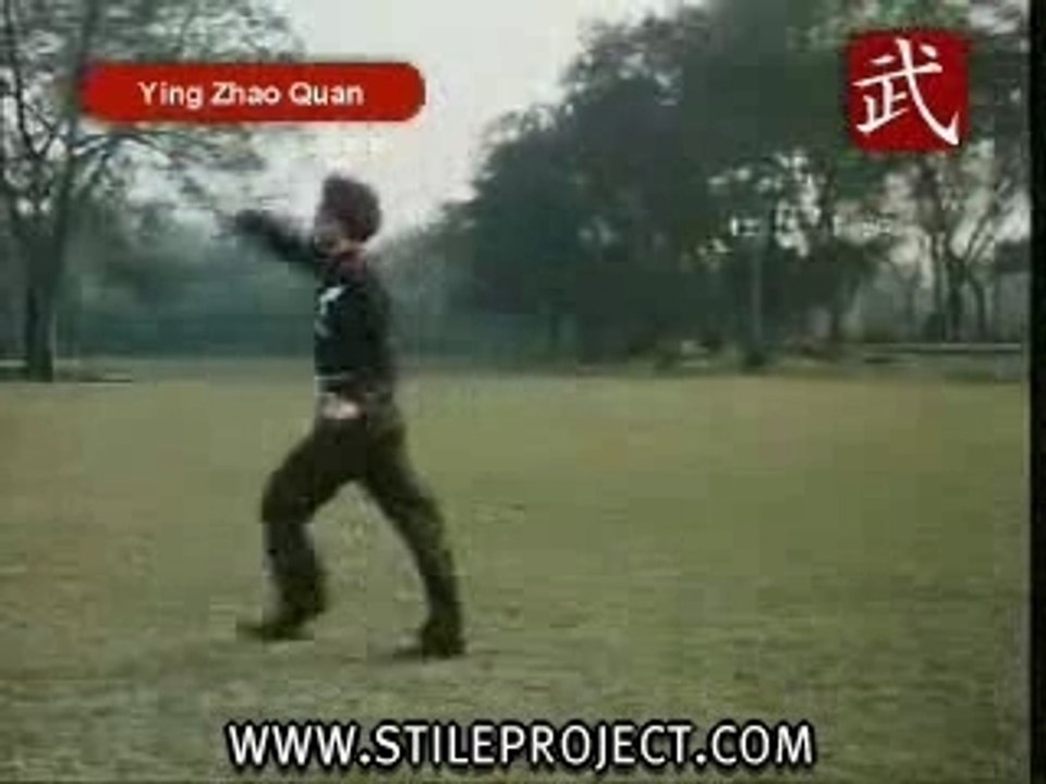 Eagle Claw - Kung Fu -