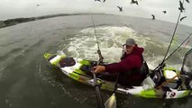 Mira lo que le salió a este hombre mientras estaba pescando