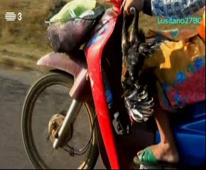 Gentes do Rio, O Mekong, pt1, RTP3