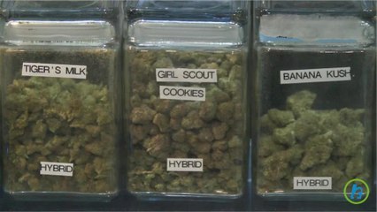 Marijuana business will be $44 billion by 2020,