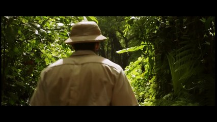 Palmeras en la Nieve - Tráiler Oficial HD