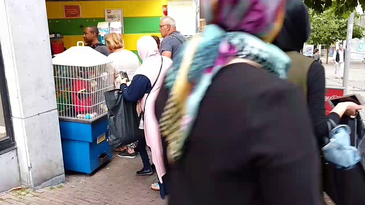 Le singe Chita quitte la rue de la Montagne