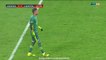 Pascal Testroet Goal HD - SG Dynamo Dresden 2-1 Everton 29.07.2016 HD