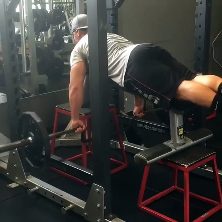 Top Rated Muscle Building Workout Programs For Men