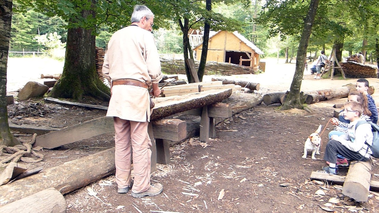 v05- Bucheron
