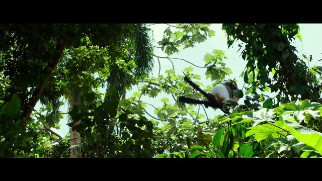 xXx 3 Reactivated TRAILER (Vin Diesel, Samuel L. Jackson - Action, 2017)