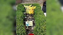 Pokemon GO Player Visits Brothers Grave, Spots His Favorite Character Pikachu Beside Head