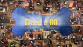 100 Deeds For Eddie McDowd - Season 3 - Episode 7 - Lost & Found