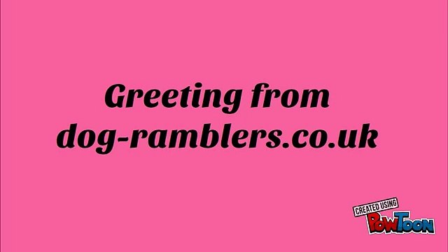 A leading dog clicker training center