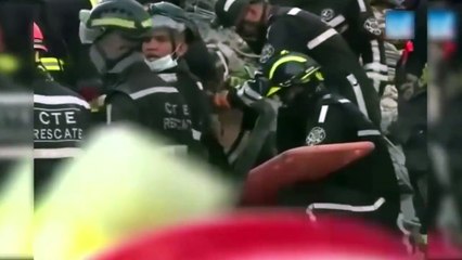 En images : ce chien meurt de fatigue après avoir sauvé la vie à 7 personnes…