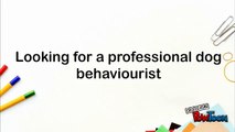 Looking for a professional dog behaviourist