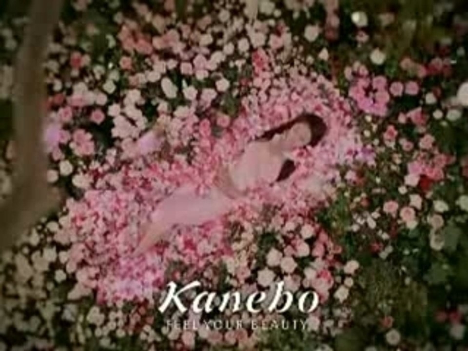 Sawajiri Erika-kanebo SALA