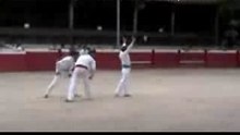 Bull Jumping Bafoons Show Off Their Mad Skills