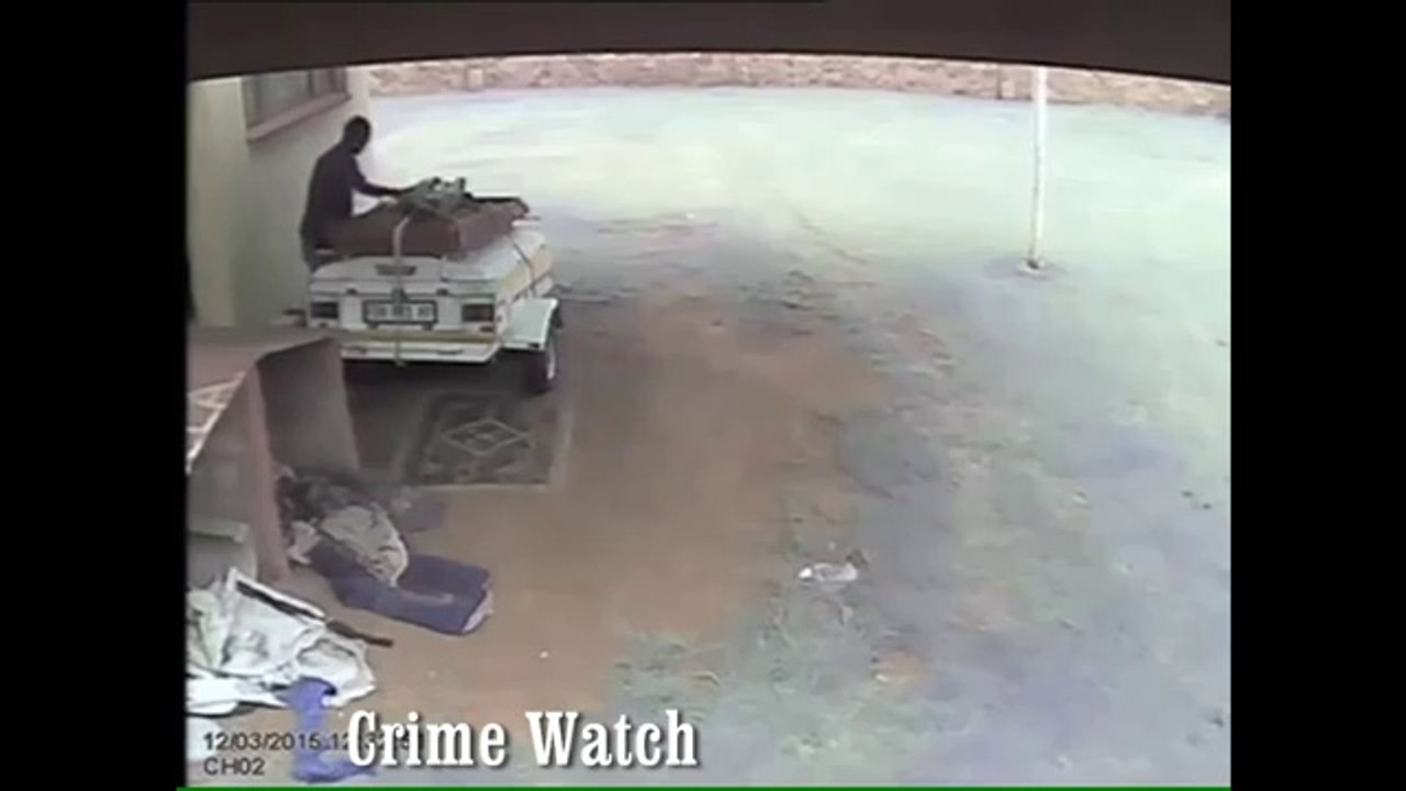 watch dog
