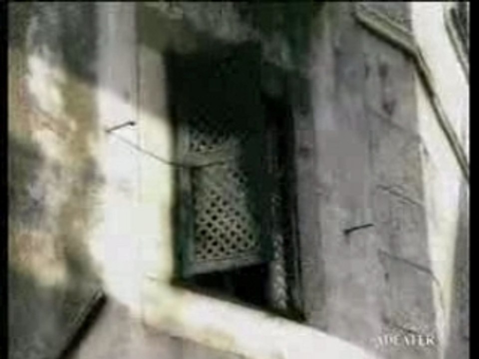 Frimeur_portuguais DB