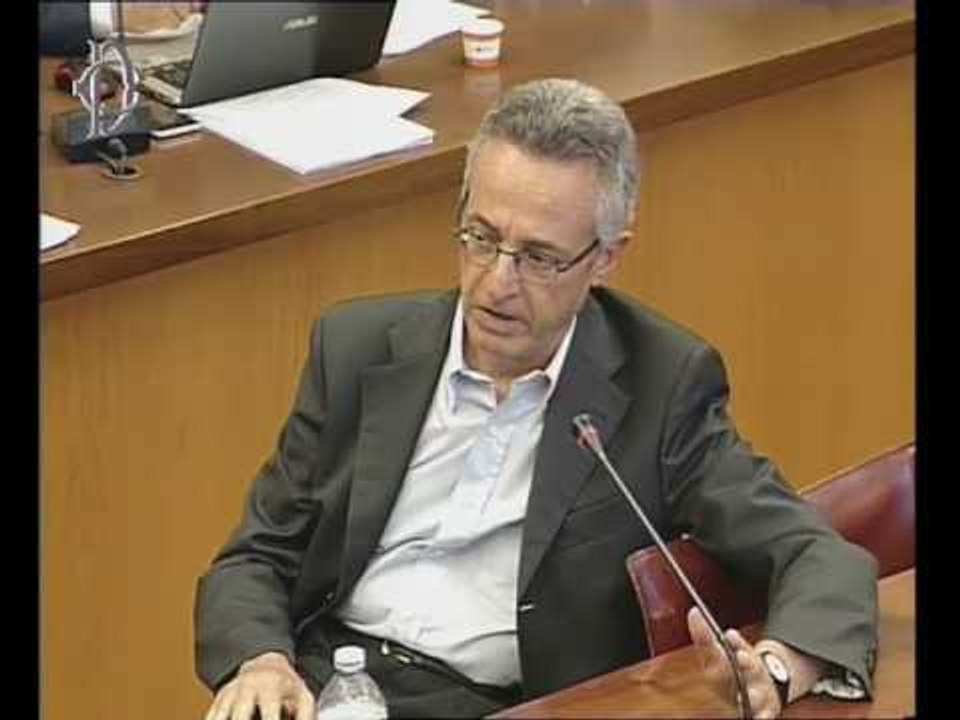 Roma - Nomina Direttore Agea, audizione Pagliardini (26.07.16)