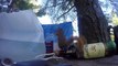 Écureuil pris en flag de vol de cacahuètes!