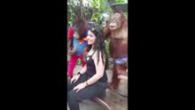 Un singe attiré par le décolleté d’une femme, profite d’une pose photo pour la peloter !