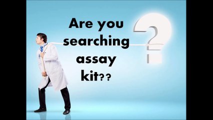 ALT Assay Kit