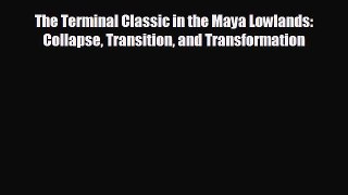 different  The Terminal Classic in the Maya Lowlands: Collapse Transition and Transformation