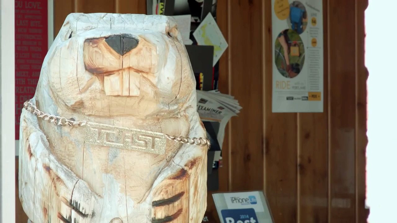 From tree to TOAST handcrafting real wood tech covers in the Pacific Northwest