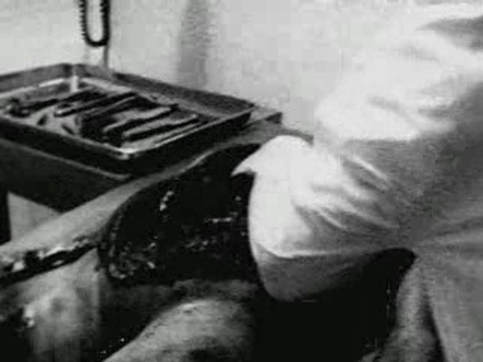 Alien Autopsy
