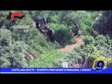 Castellana Grotte |  Scoperta piantagione di marijuana, 5 arresti
