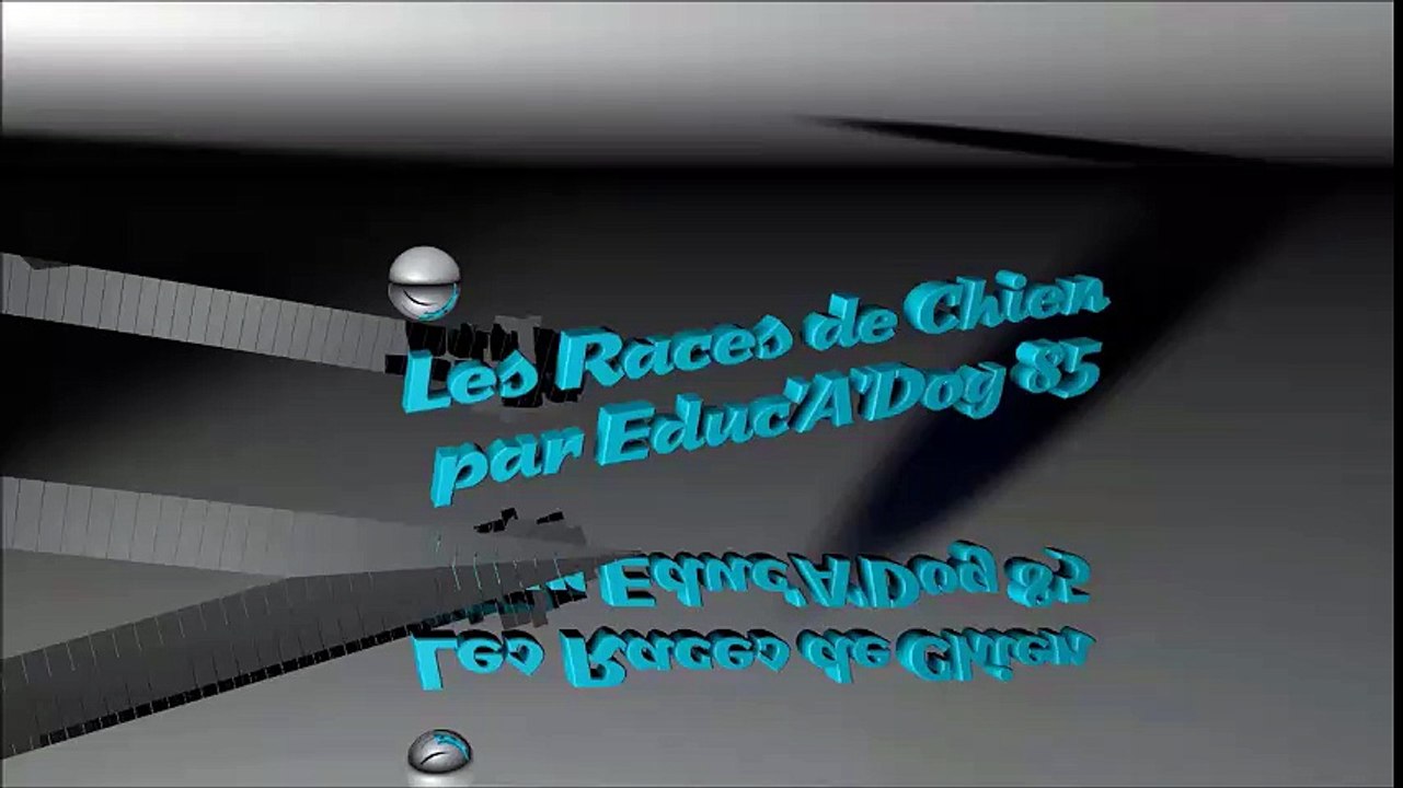 educadog vendée club canin