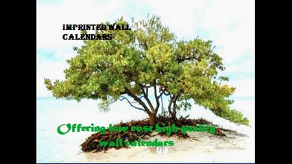 Offering Low Cost High Quality Wall Calendars