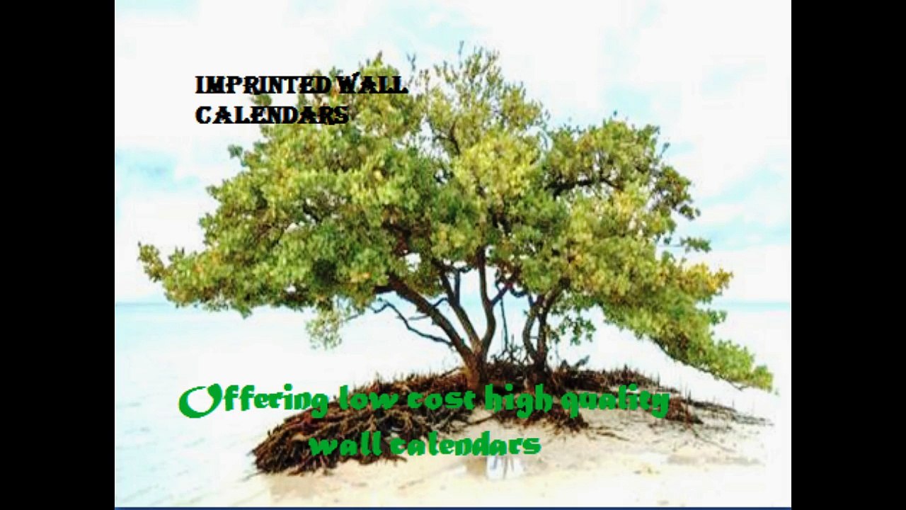 Offering Low Cost High Quality Wall Calendars