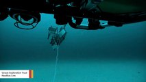 World's Largest Bony Fish Casually Swims Towards Deep-Sea Research Vehicle In Stunning Sight