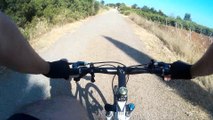 MTB- Bosco di Andriace (Montalbano Jonico) BASILICATA - ITALY