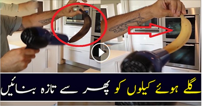 Gally Howe Kelly Ko Phir Se Taza Banae