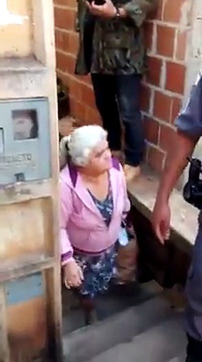 Mulher é presa depois de espancar cão