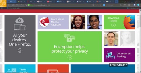 World Best 11 Web Browser