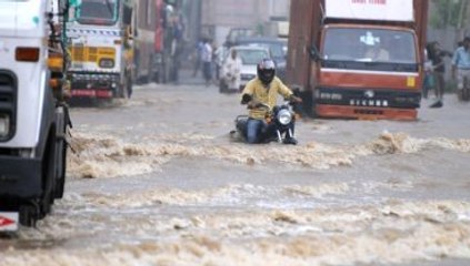 Hindistan ve Bangladeş'te Şiddetli Yağış: 31 Ölü