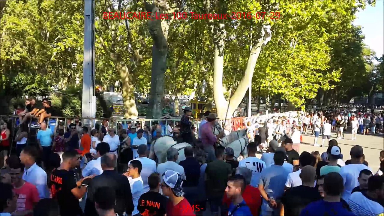 BEAUCAIRE-Les 100 Taureaux-2016-07-29