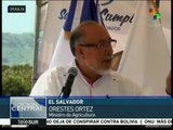 El Salvador: gobierno promueve programas para siembra de hortalizas