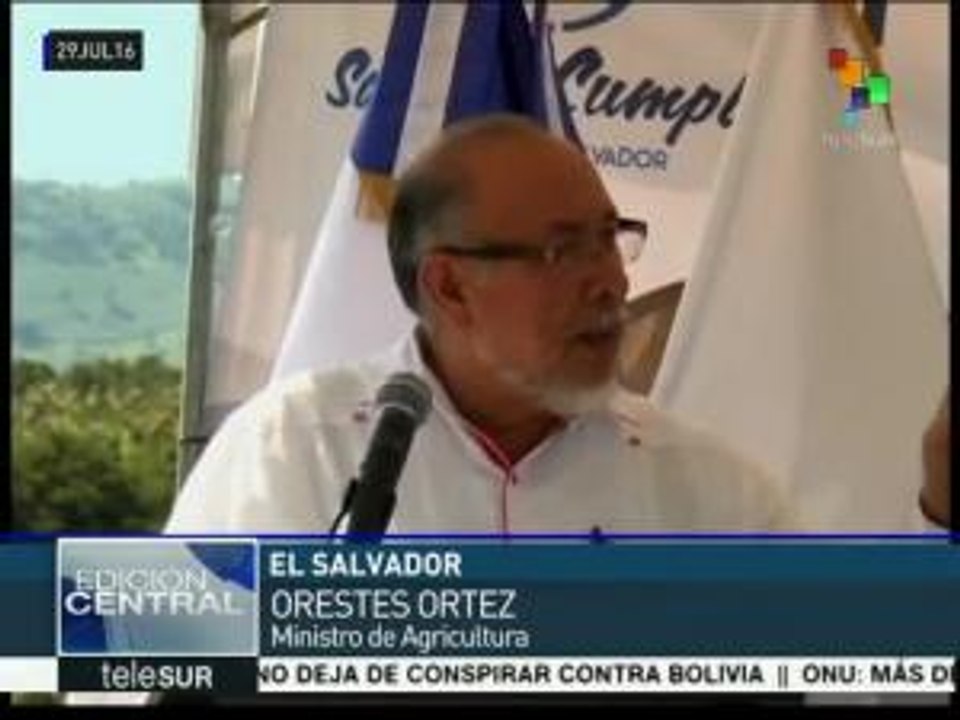 El Salvador: gobierno promueve programas para siembra de hortalizas